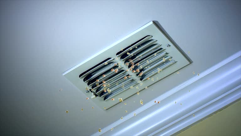 Air Duct Mold Removal in Bunnell, FL